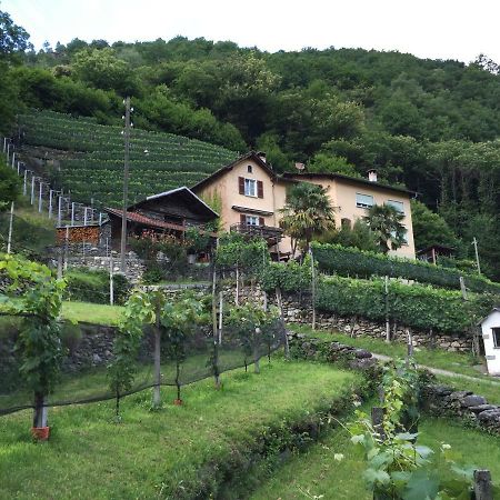Casa Immersa Nel Vigneto Roveredo Экстерьер фото