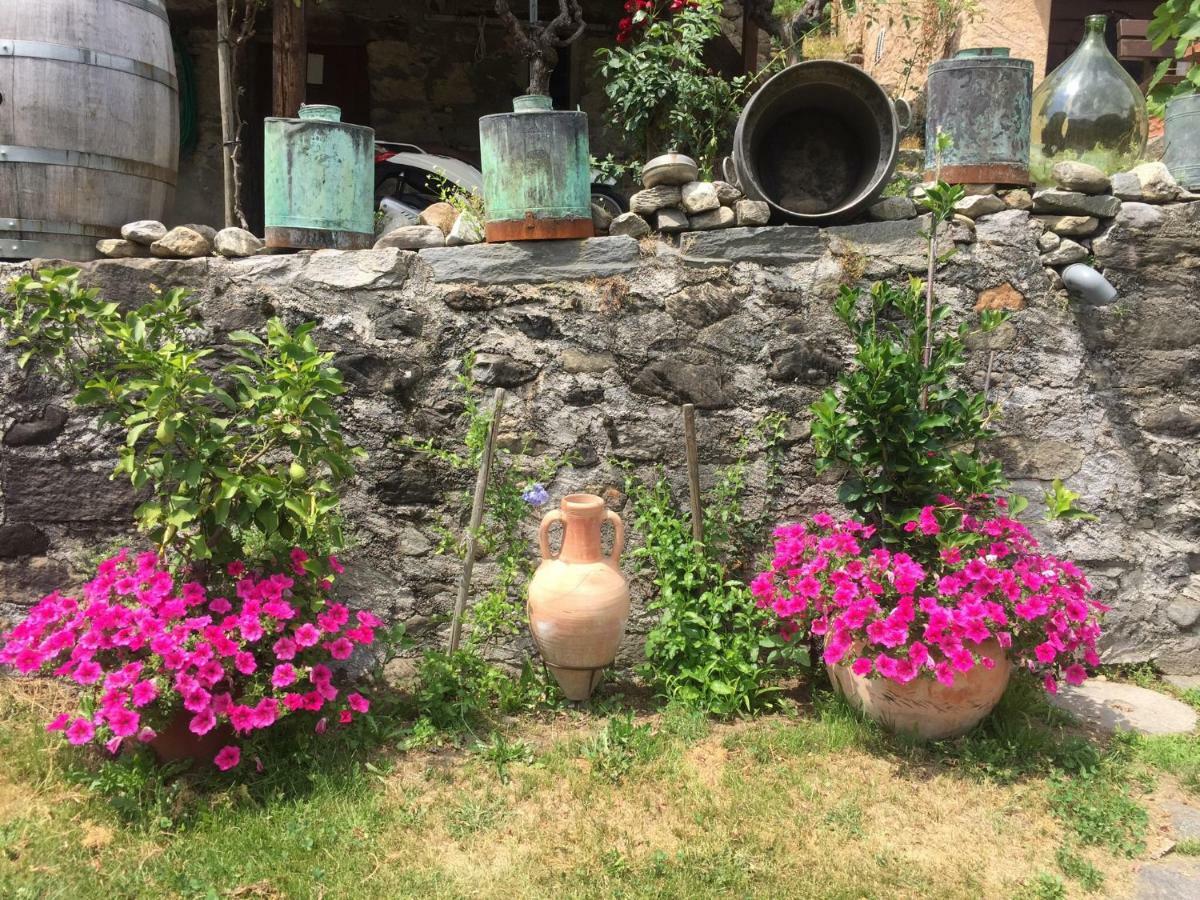 Casa Immersa Nel Vigneto Roveredo Экстерьер фото