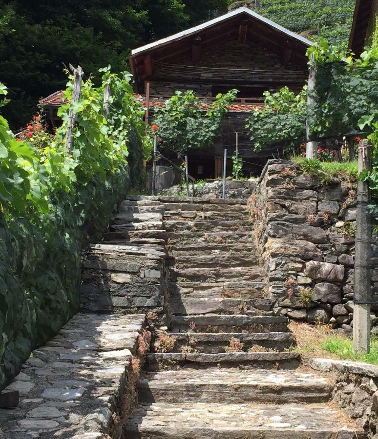 Casa Immersa Nel Vigneto Roveredo Экстерьер фото