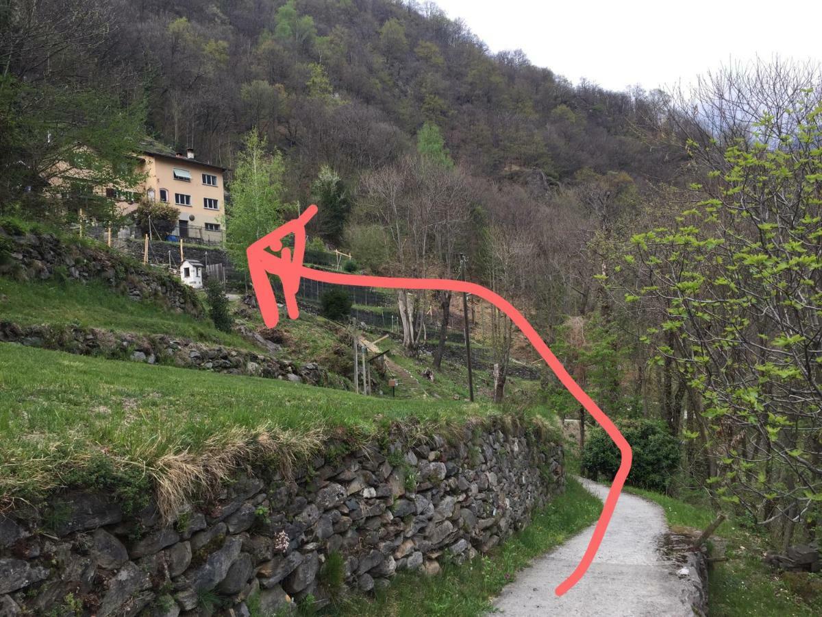 Casa Immersa Nel Vigneto Roveredo Экстерьер фото